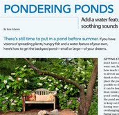 Pondering Ponds Article featured in Backyard Solutions Magazine