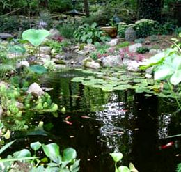 Water Feature Workshop article (PART TWO) in the Poughkeepsie Journal